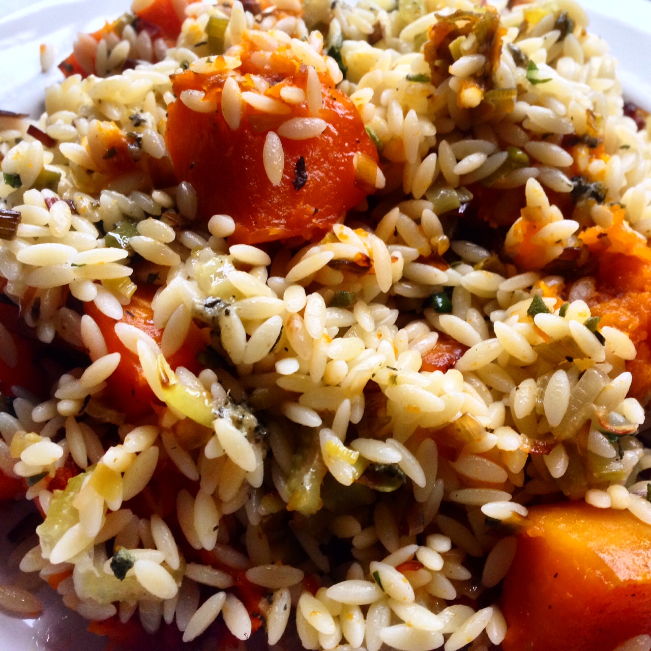 Roasted Squash with Sage, Orzo Pasta and Blue Cheese Butter and Wild Garlic Dressing