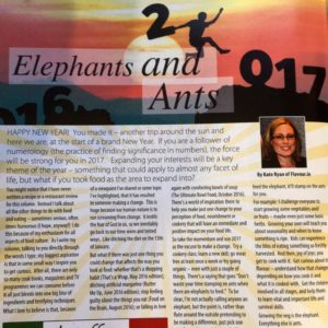 elephants-and-ants
