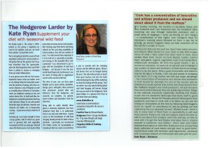 Opinion Articles1