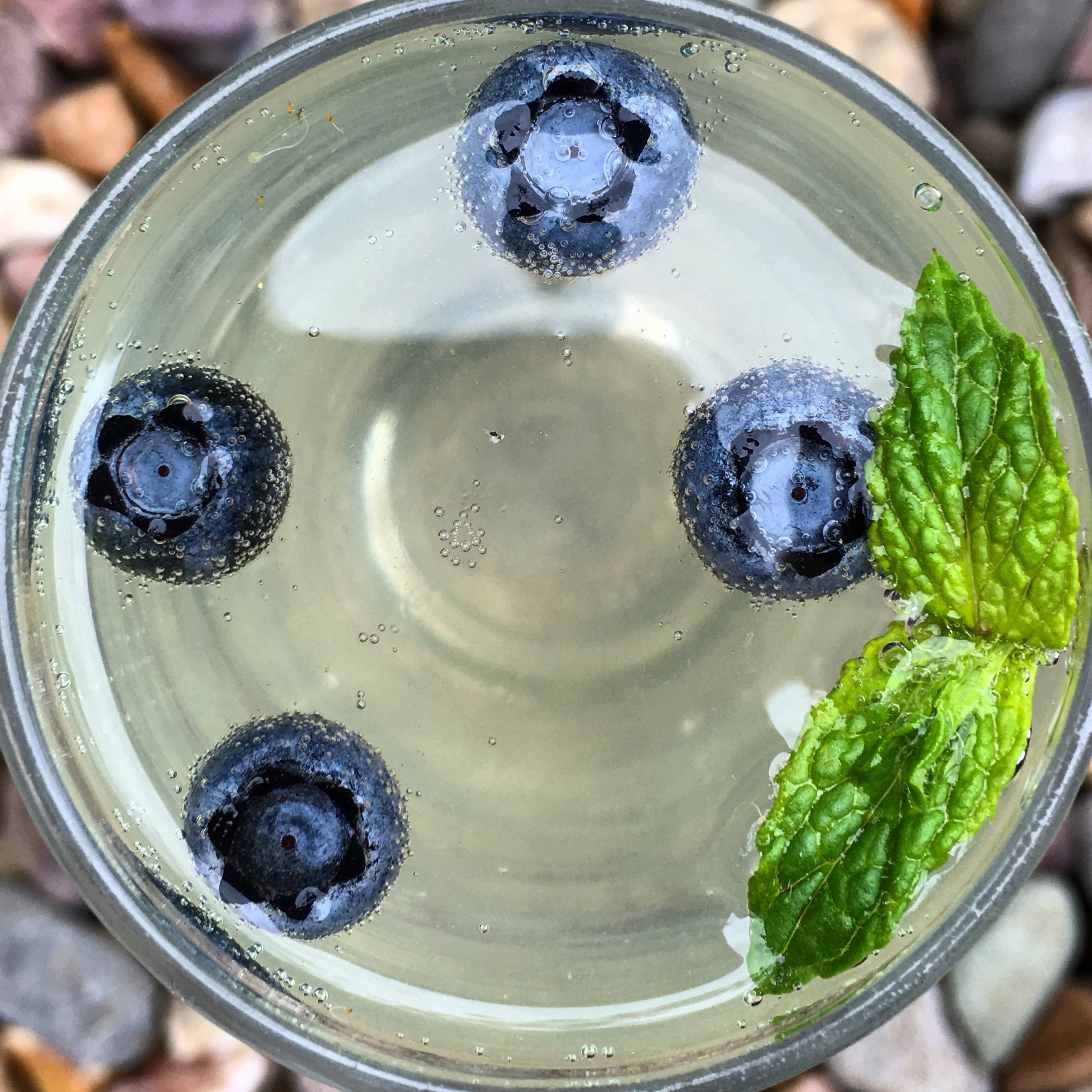 Meadowsweet Gin Fizz