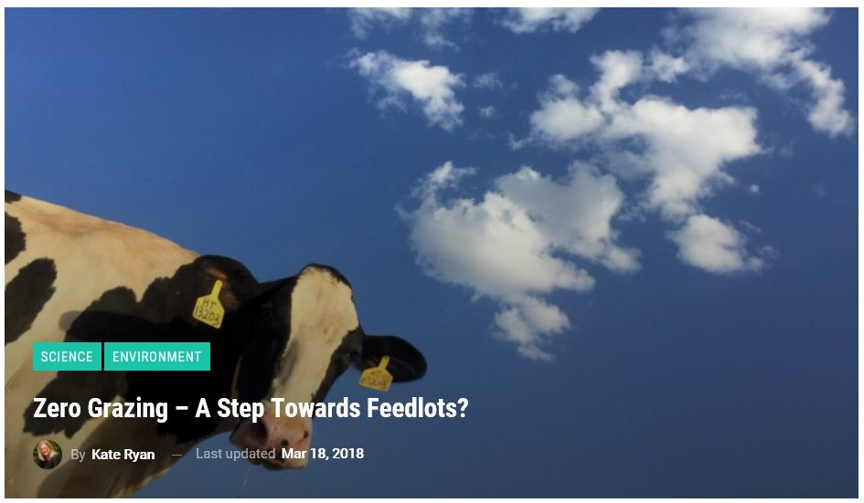 Zero Grazing – a step towards feedlots?