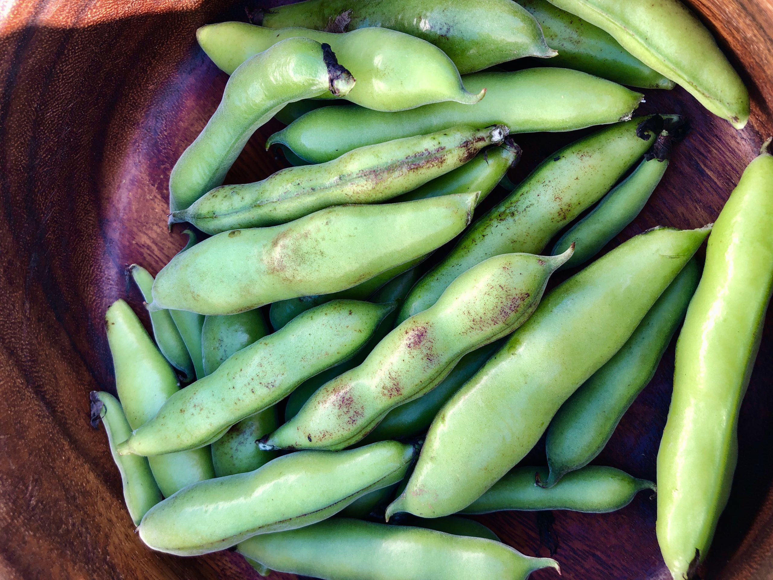 Deeply Dippy Broad Bean Dip