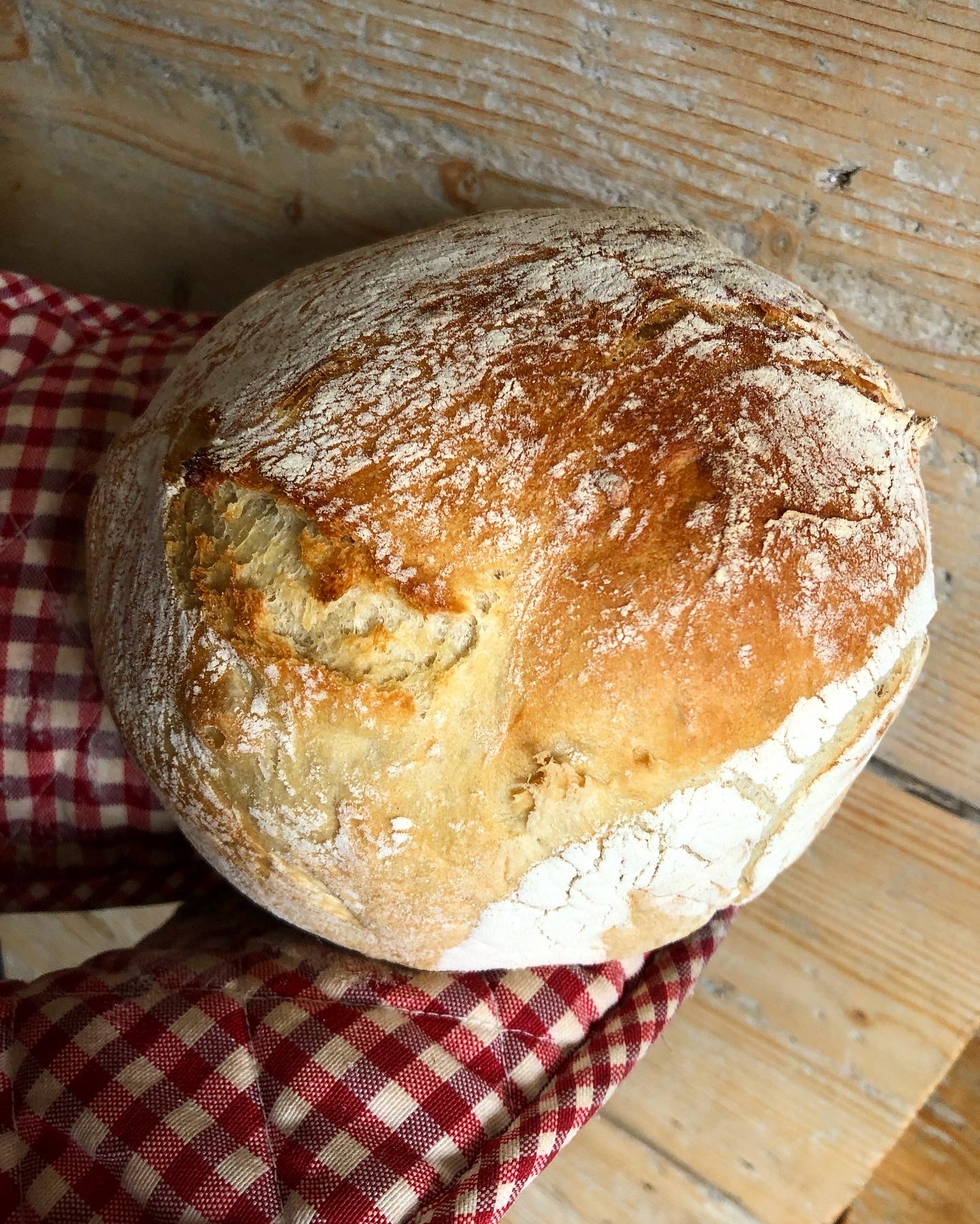 No Knead Bread